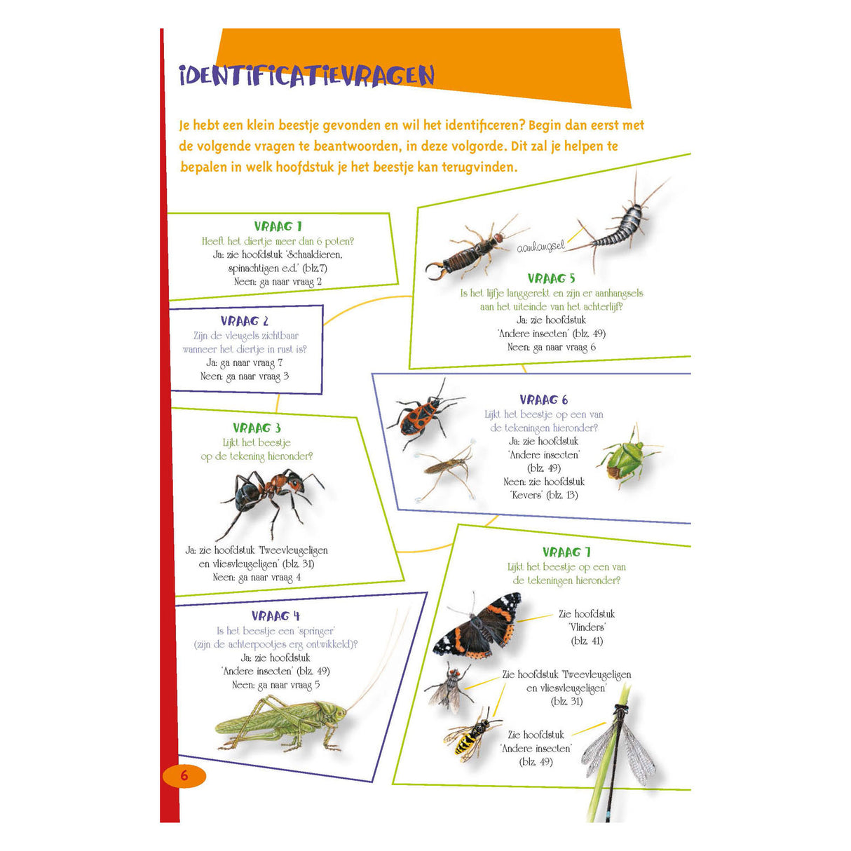 Nejlepší průvodce hmyzem pro děti