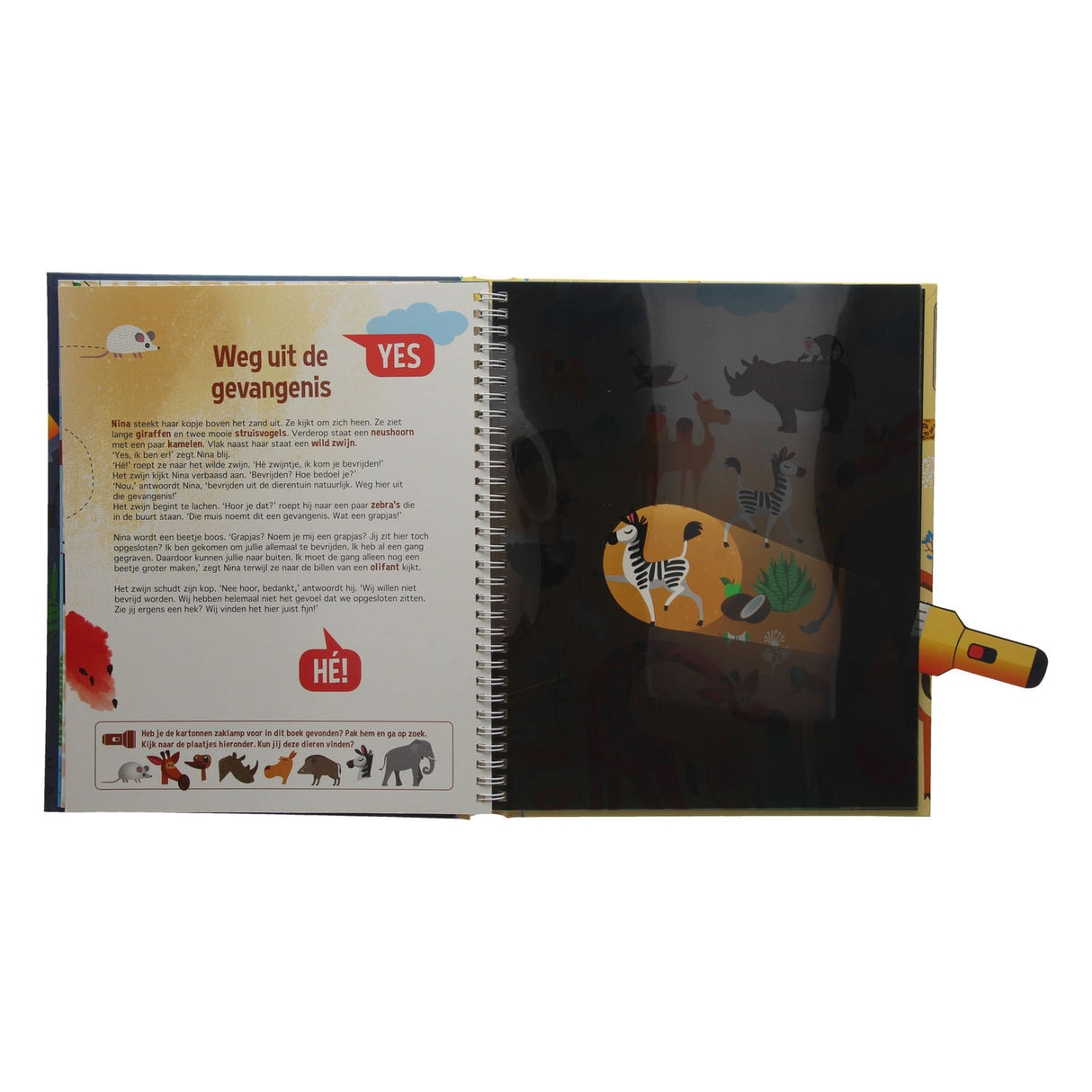 Recherche au zoo + lampe de poche en carton