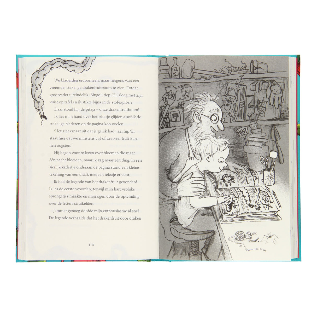 Central Book House The Boy Who Grew Dragons