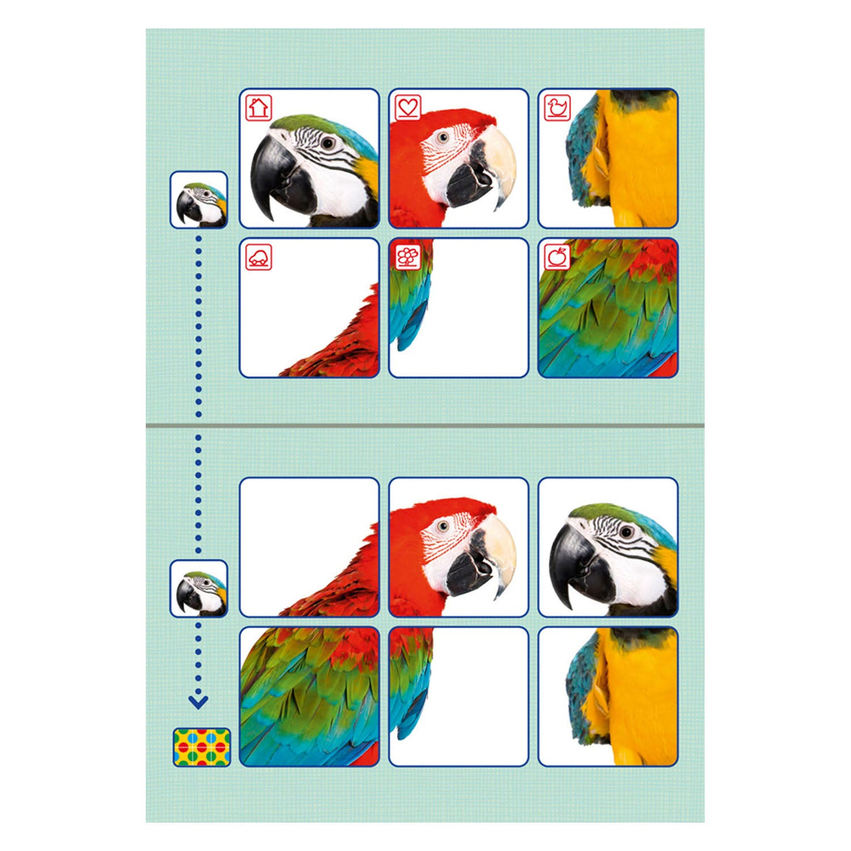 WPG UITGEVERS LOCO Bambino Starter Package