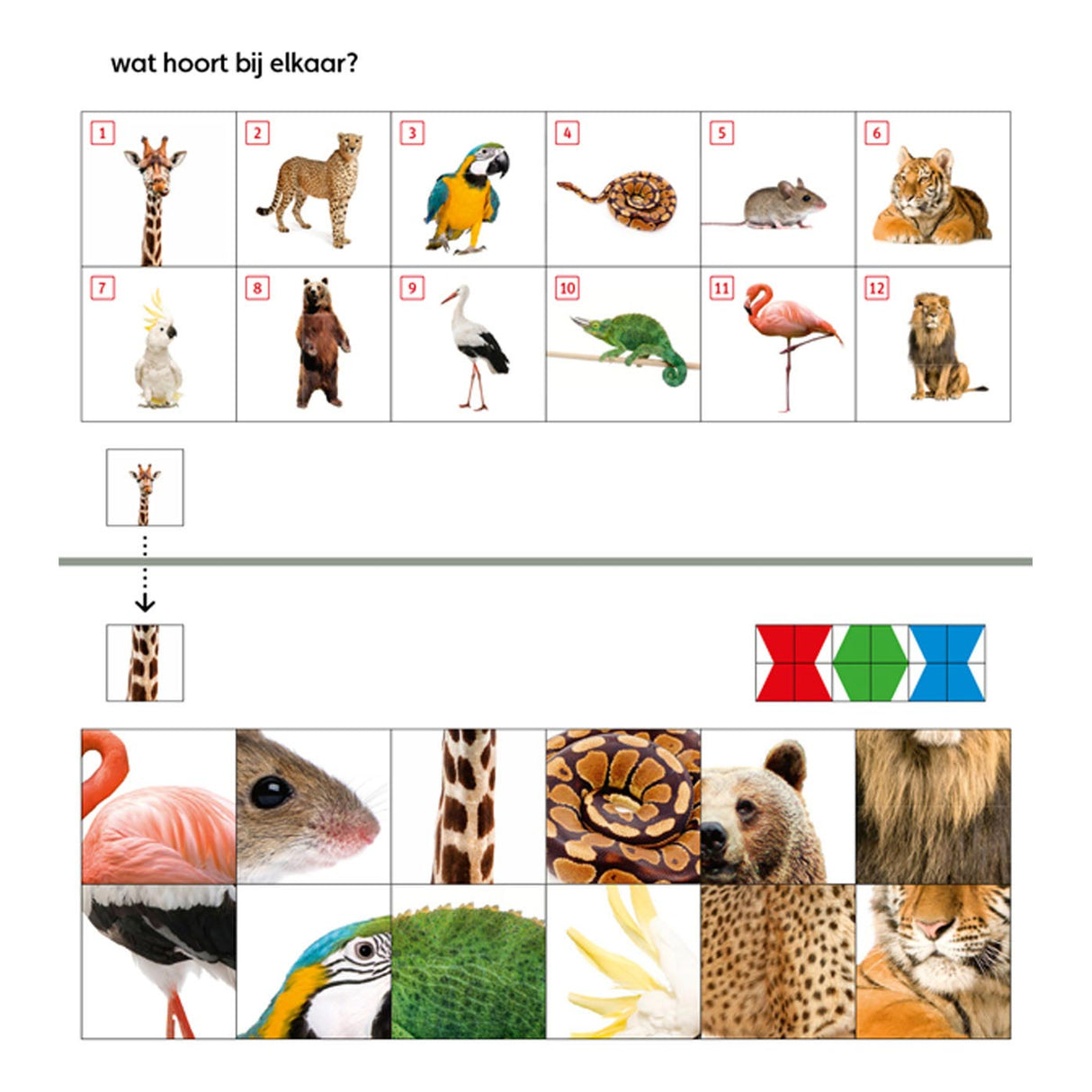 WPG Uitgevers Mini Loco Starters Paket (4-6 Jahre)