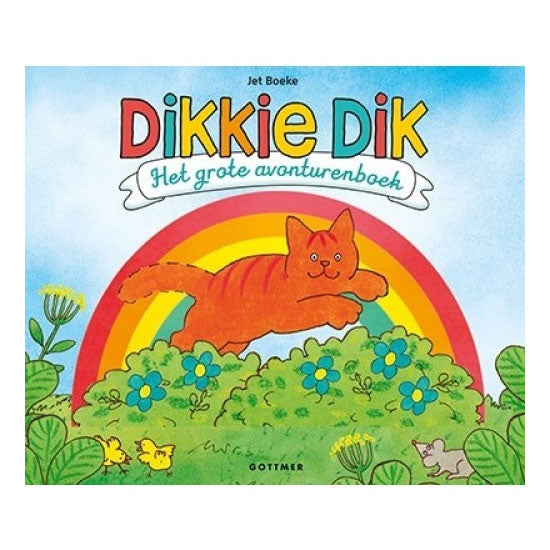Central book house dikkie dik - the big adventure book