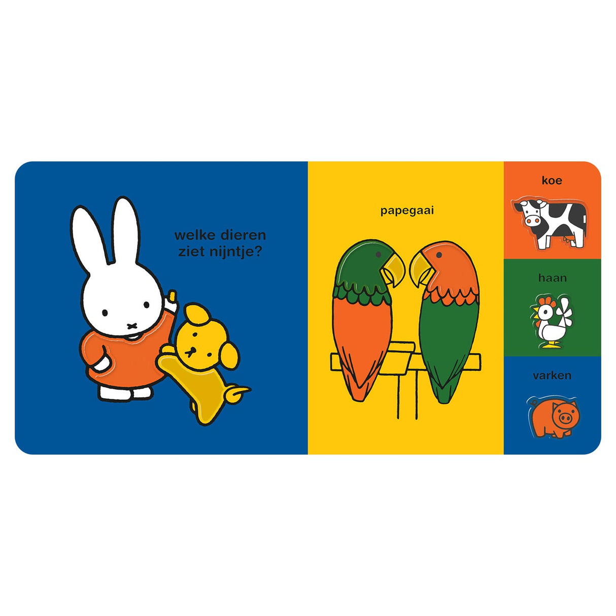 Centraal boekhuis nijntje kijkt