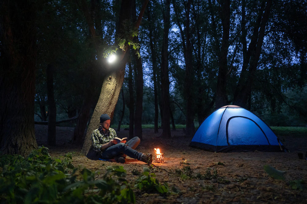 Hazet hand lamp 1979n-92 led slim light cable.