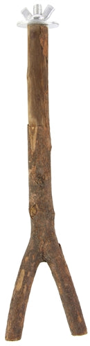 Happy pet bird perch natural