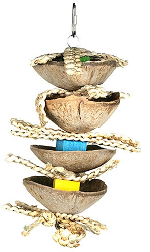 Wybrany przez Crittera szczęśliwy zwierzak, szynszyla, kokos