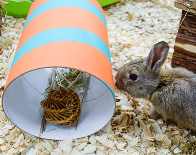 Happy pet willows value pack 2 sticks 2 balls