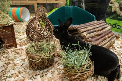 Natur First Happy Pet Wilgen Hooirek