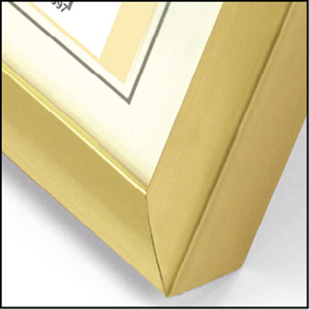 Zep foto okvir KG5 Gold 30x40 cm