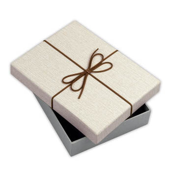 ZEP Storage Box BX3514A Box Piacenza A 15,3x21.4x4