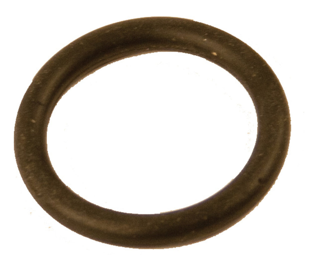 Aqua2go o ring controle ventiel