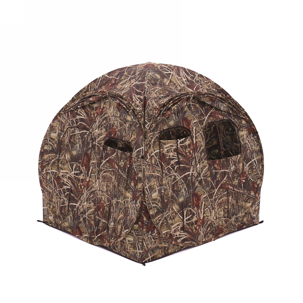 Buteo Photo Gear Shelter Aquila Mark III Riet