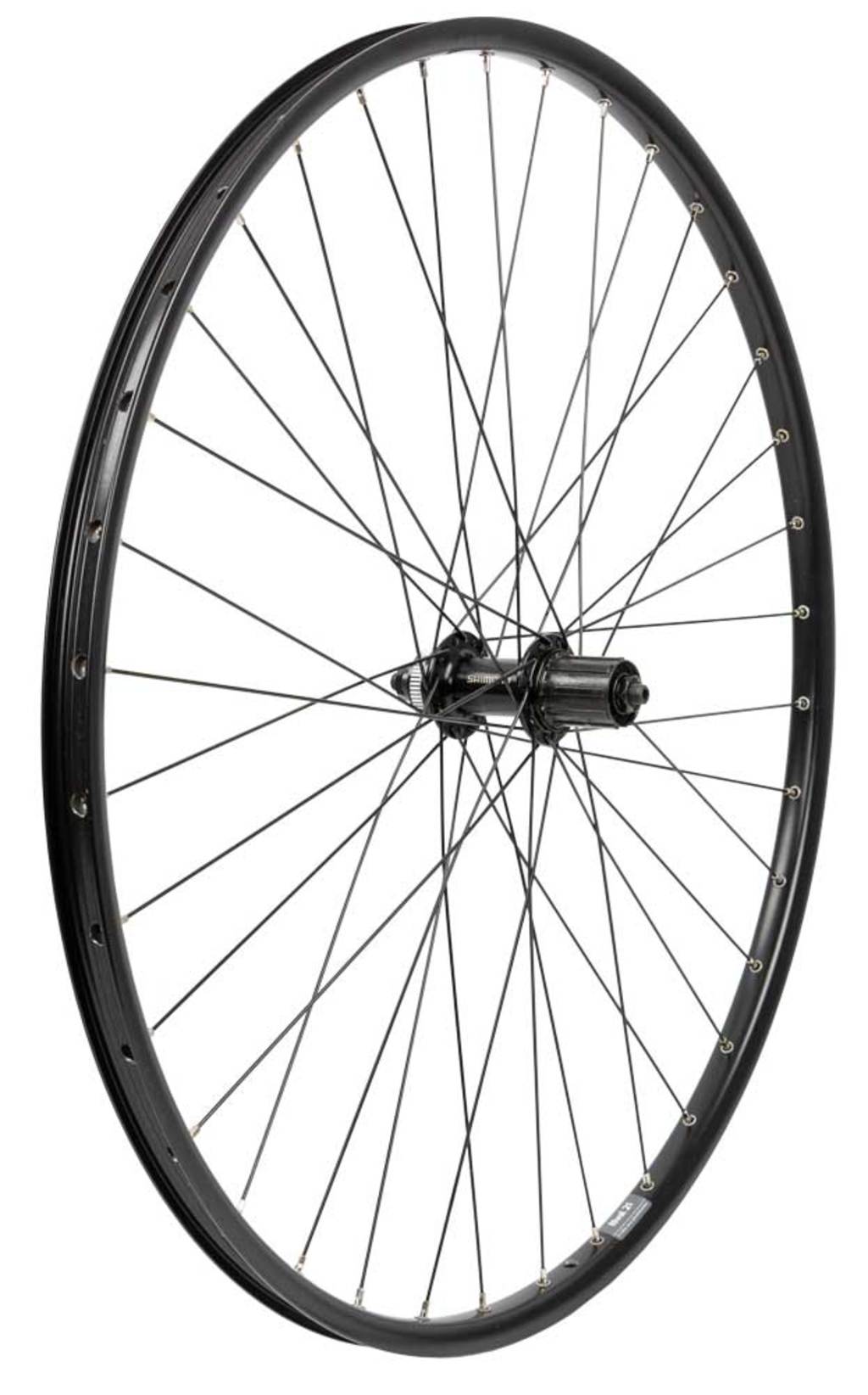 Ruota posteriore Roland 28 Ryde Rival21 Shimano QC300 Black