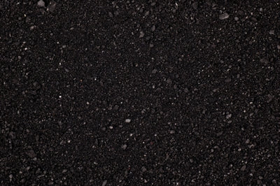 Komodo caco sable noir