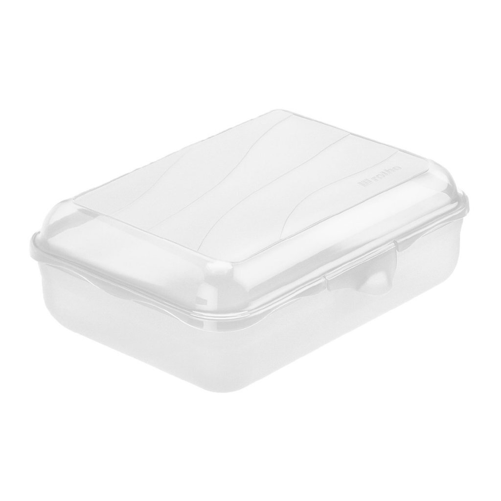 Rotho lunch box fun 1.25l transparent