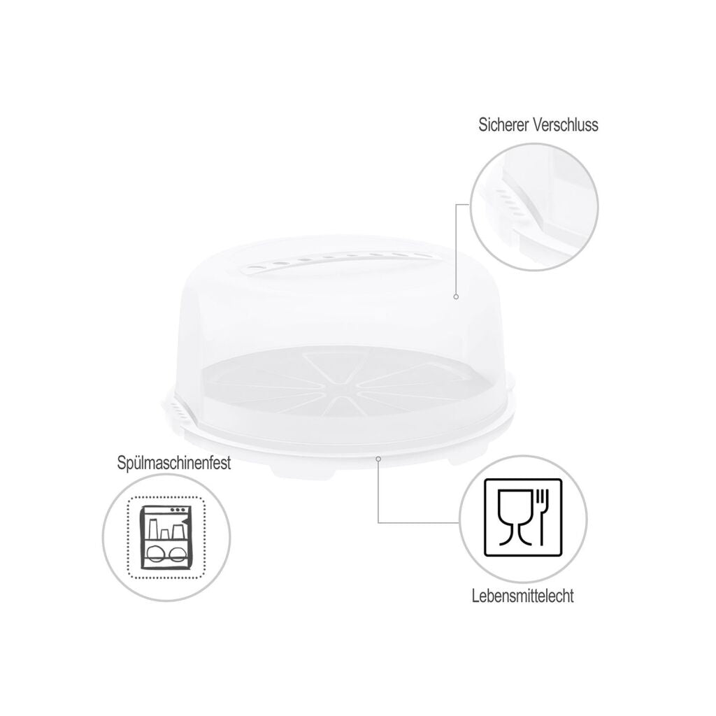 Rotho fresh cake box high mistletoe green