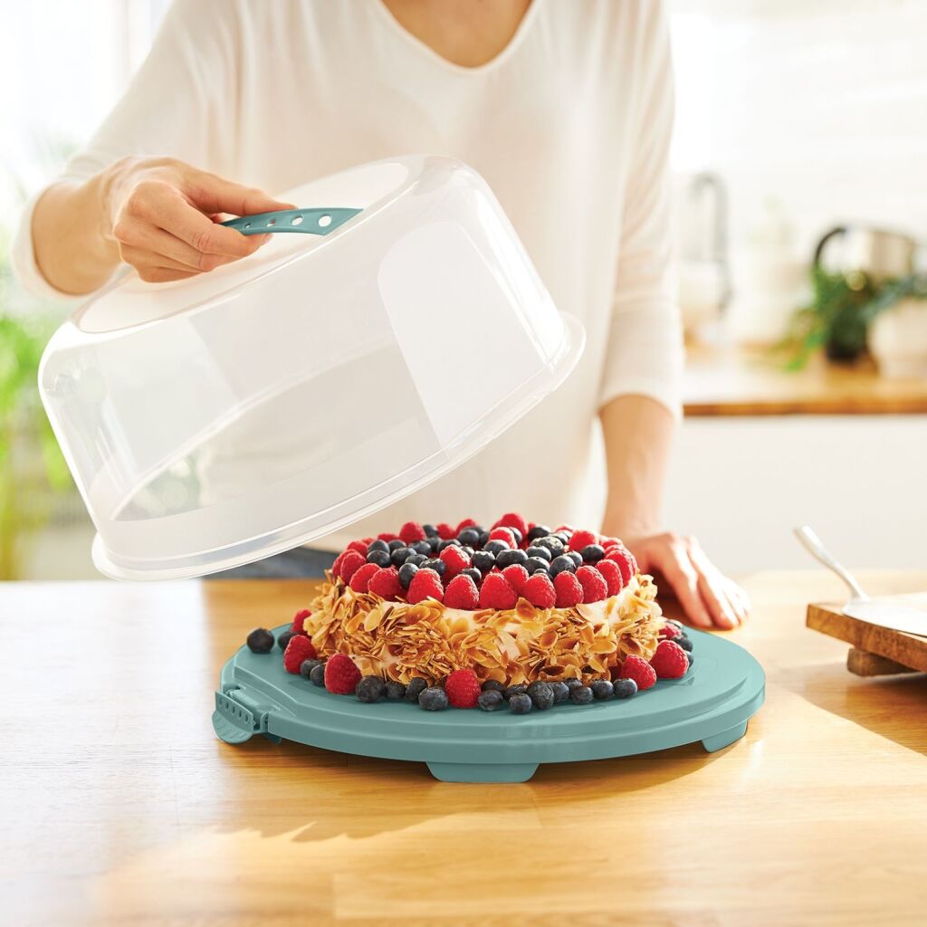 Rotho fresh cake box high mistletoe green