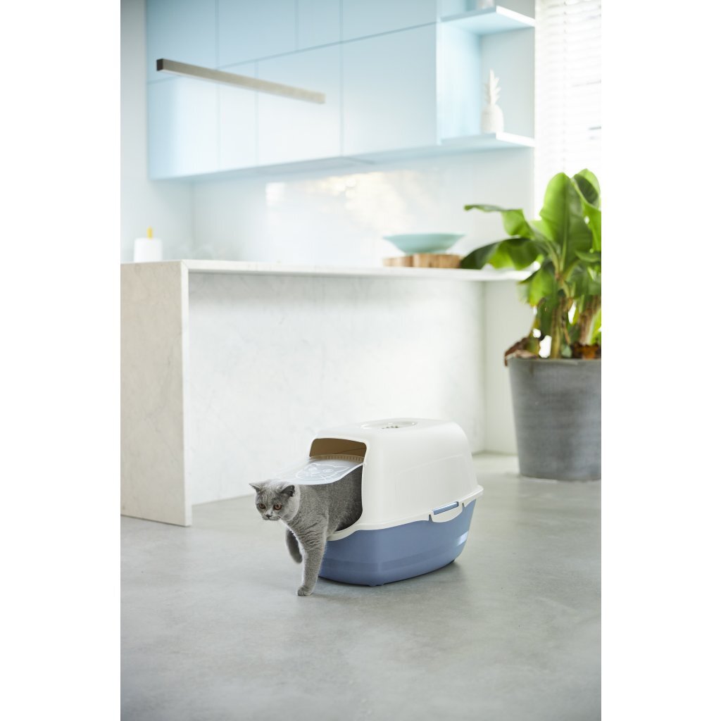 Caixa de areia Rotho bailey eco areia azul