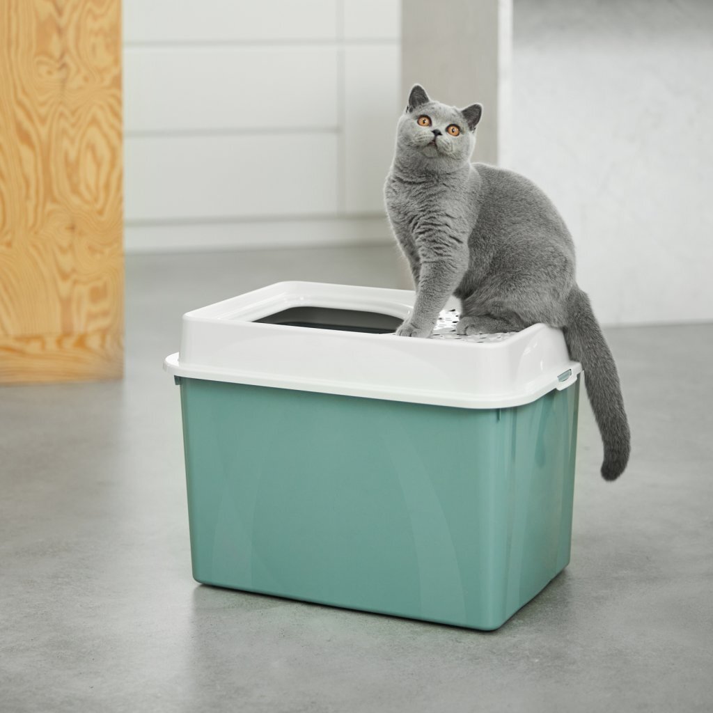 Rotho eco berty hiekkalaatikko yläsisäänkäynnillä vihreää hiekkaa