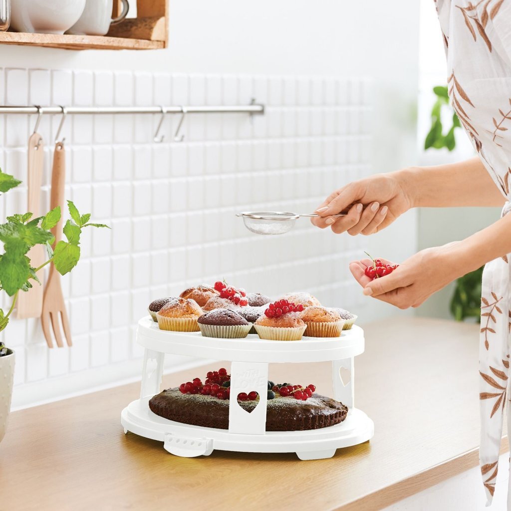 Rotho fresh cake box xl + cupcake holders 35.5x34.5x26 cm white transparent