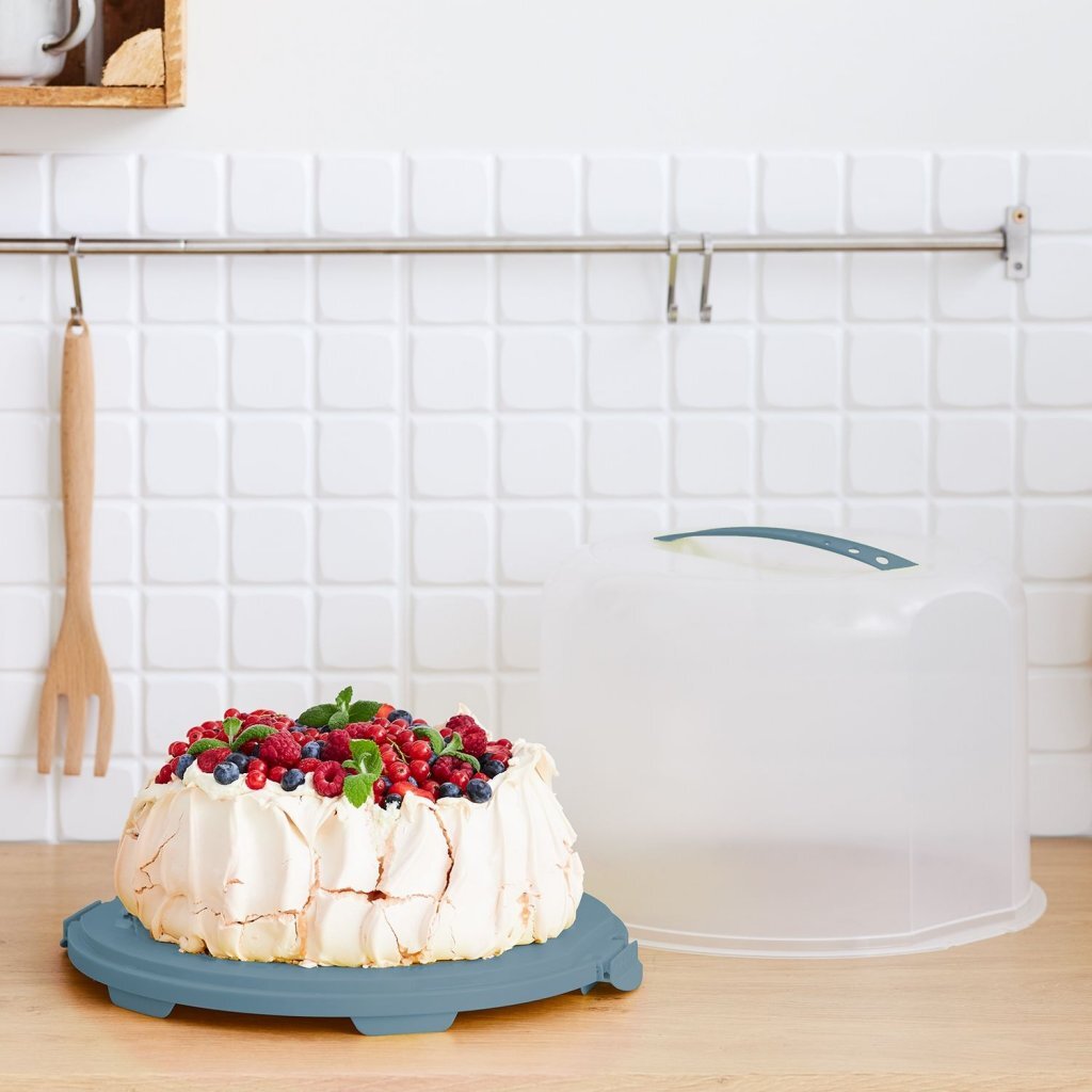 Rotho fresh cake box xl 35.5x34.5x26 cm horizon blue transparent