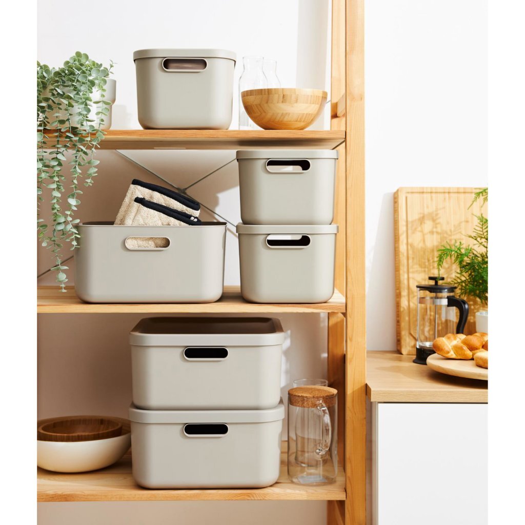 Rotho albula storage box 12l mistletoe white