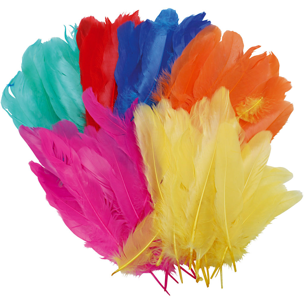 Creativ company feathers, l: 8-14 cm, various colours, 120 pieces 1 bag