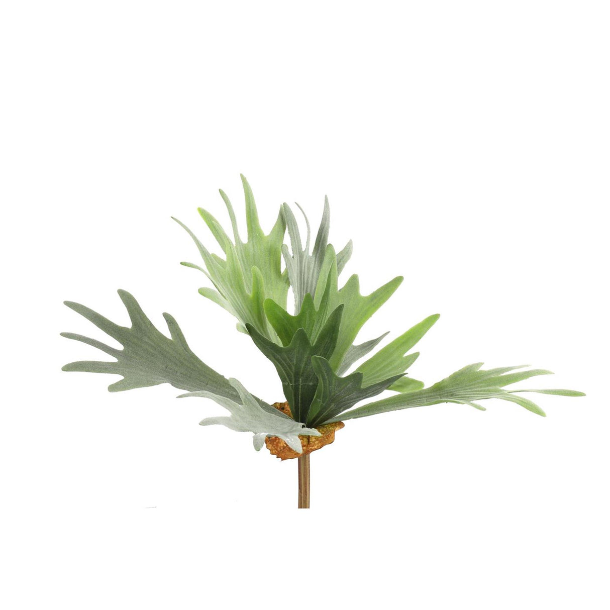 Countryfield kunstplant platycerium groen 10xh63,5cm