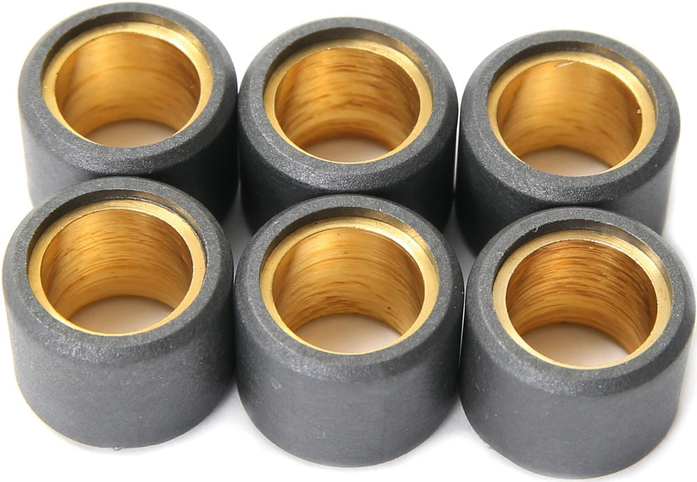Vicma variator weight roller core set 19x13.5, 10 gr, 6pcs, 4177