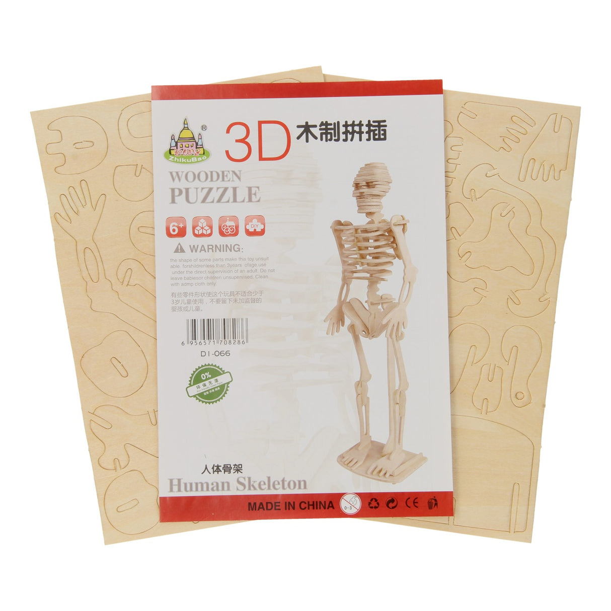 Wooden Skeleton Building Kit