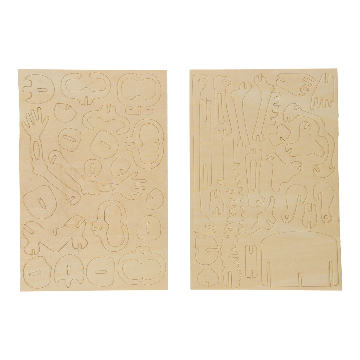 Wooden Skeleton Building Kit