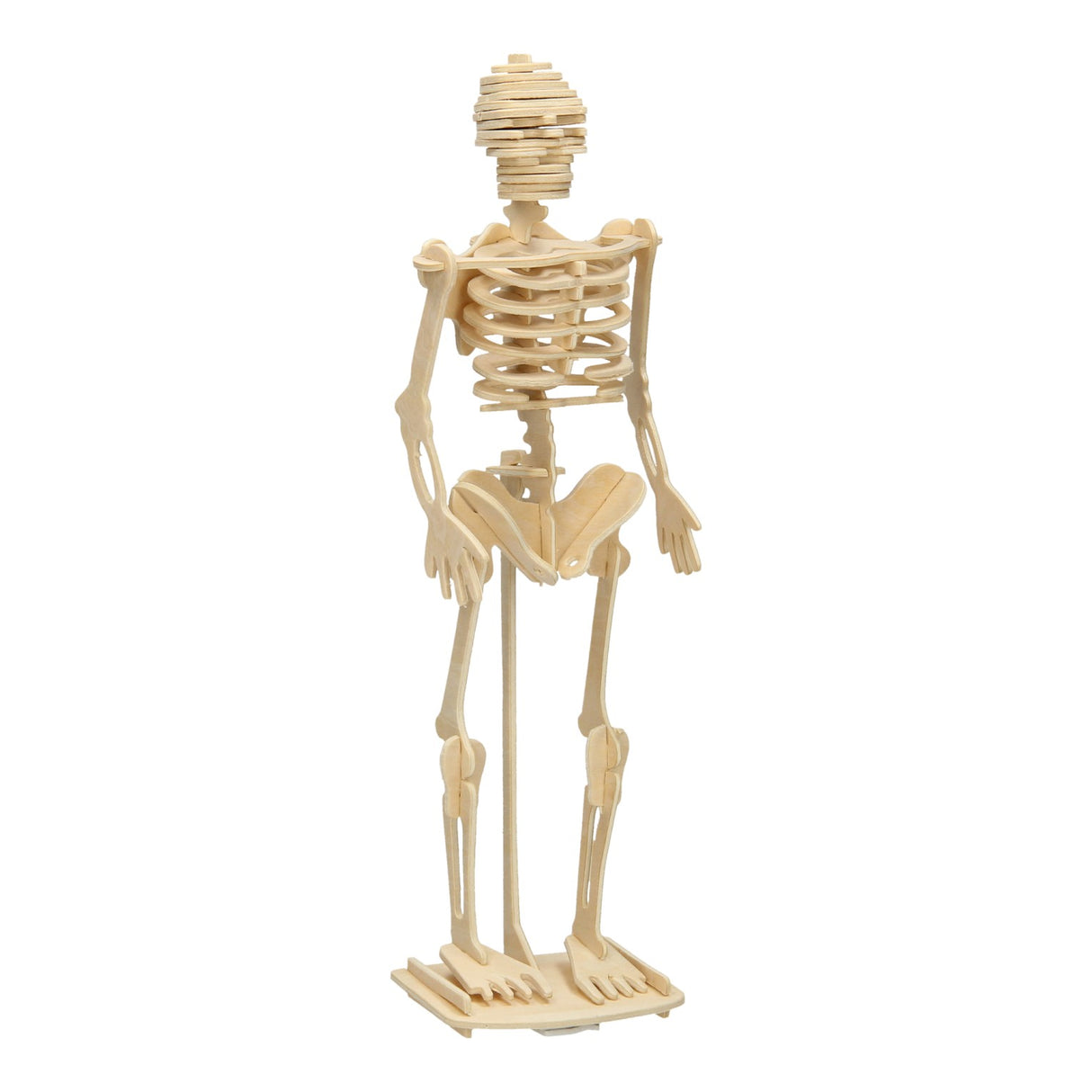 Wooden Skeleton Building Kit