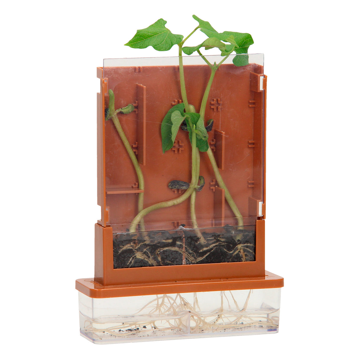 Experiments - plant maze, 21 pcs.