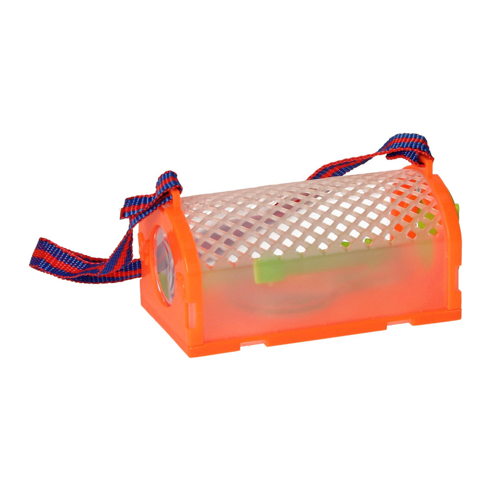 Bugs world insect catching kit
