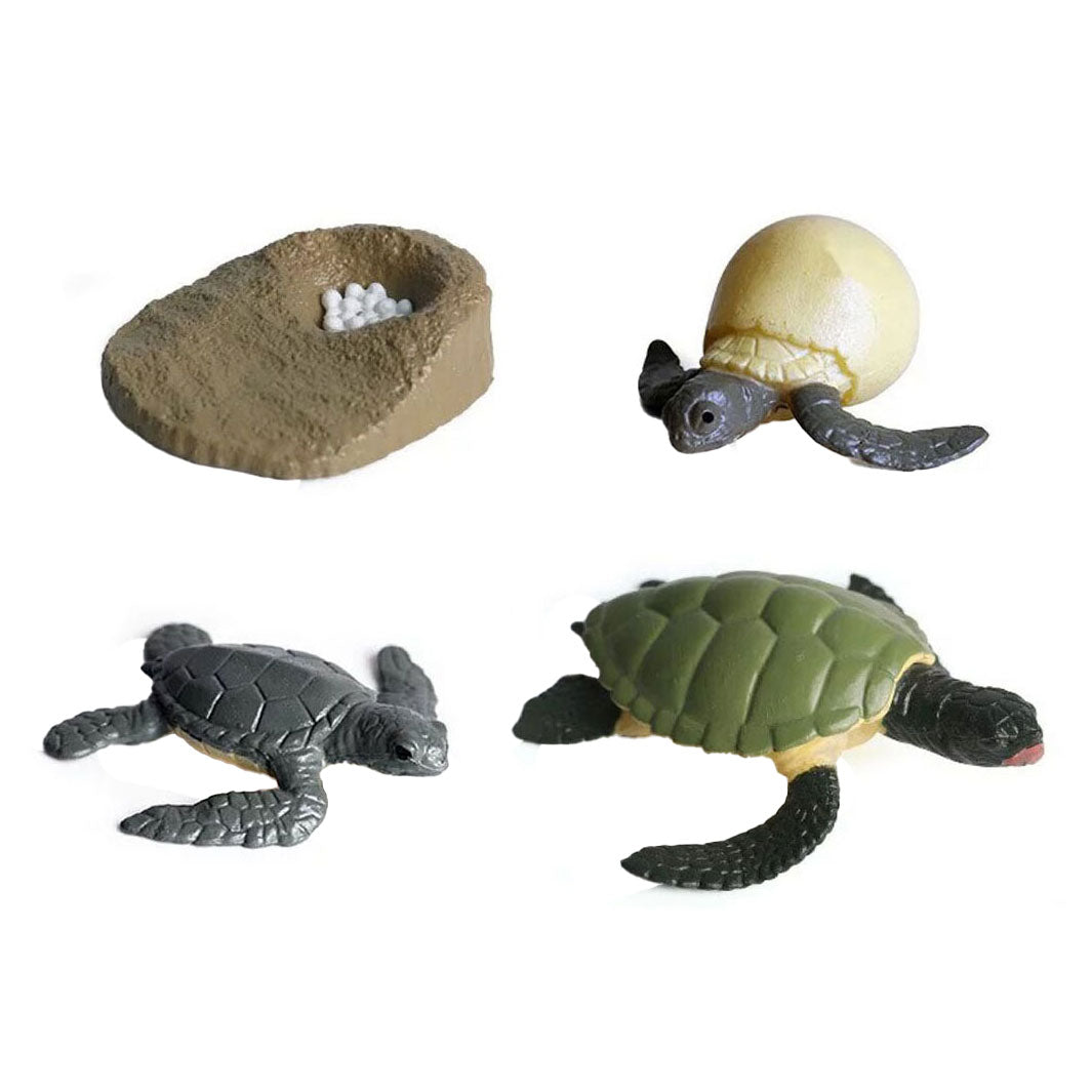 Cycplus life cycle turtle play figures set