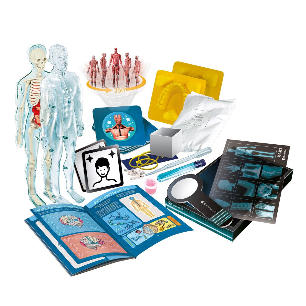 Clementoni Science und Game Super Anatomy