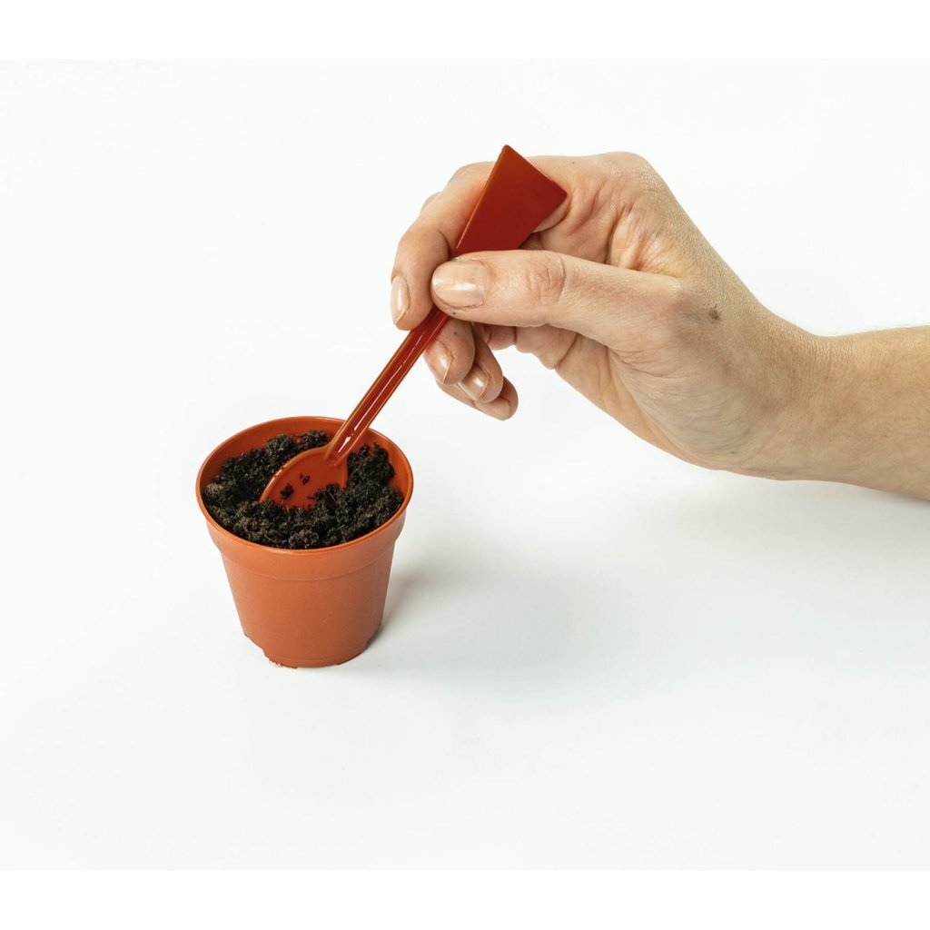 Clementoni Science Mini-Gewächshaus