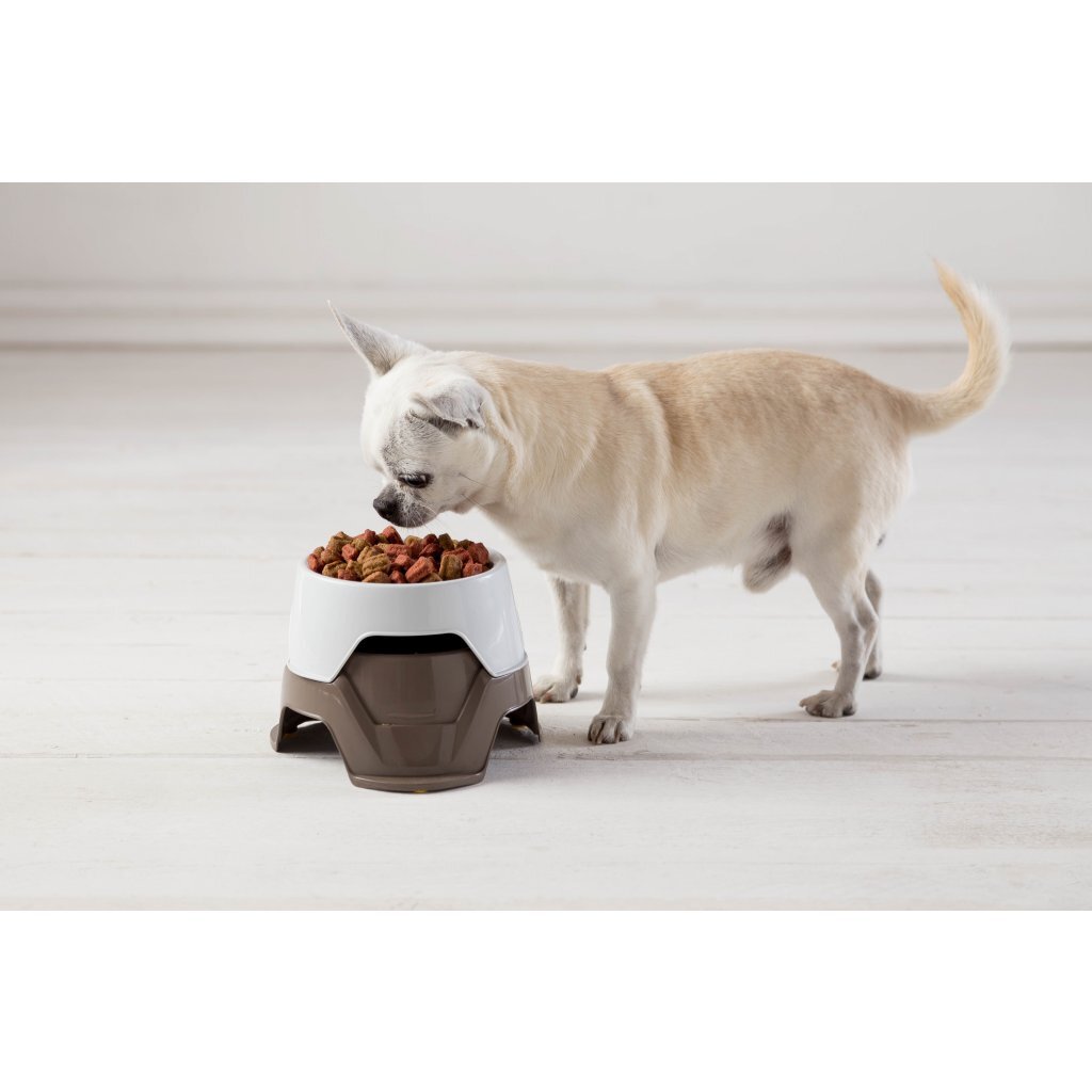 Bama pet food bowl stackable 19x10-13 cm assorted