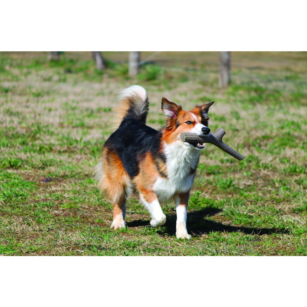 Bama tuttomio rubber playing stick 11x4x37 cm assorted