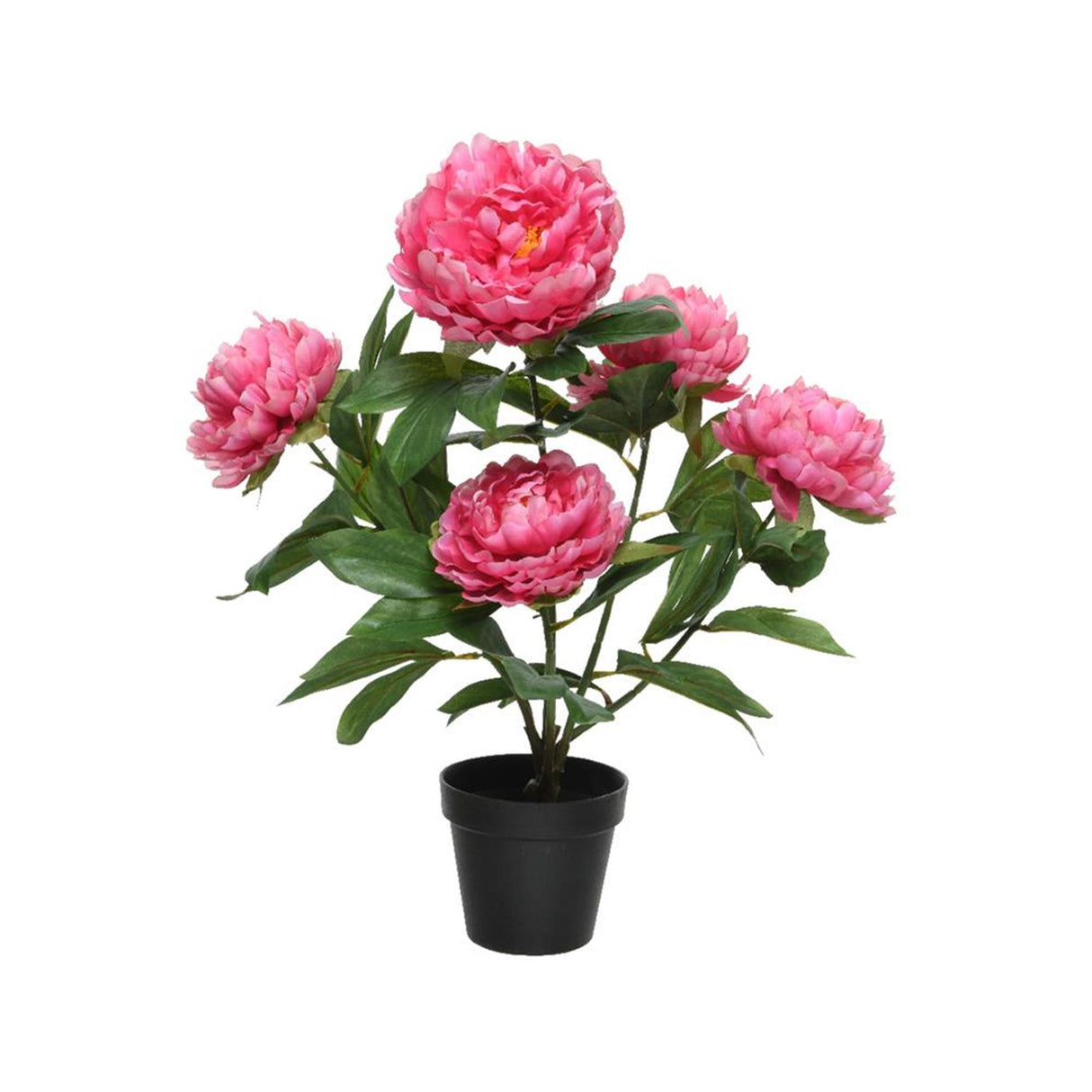Decoris kunstplant pioenroos h57cm fuchsia
