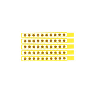 Amorces streifen 100 schottisch auf Blasen