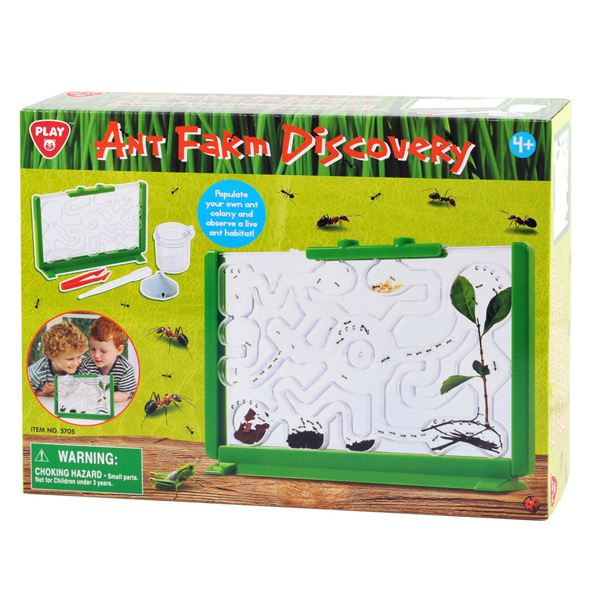 Play ant viewing box