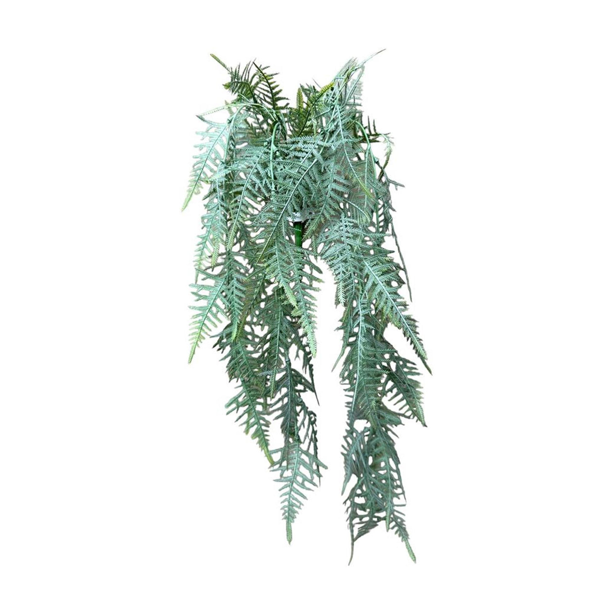 Roberts collection kunst hangplant asperges plumosus grijs