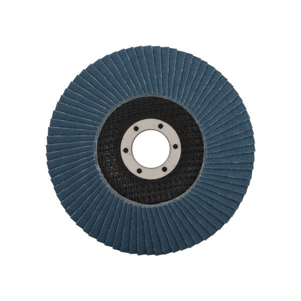 Lamelscheibe 125 K60 5 in Can