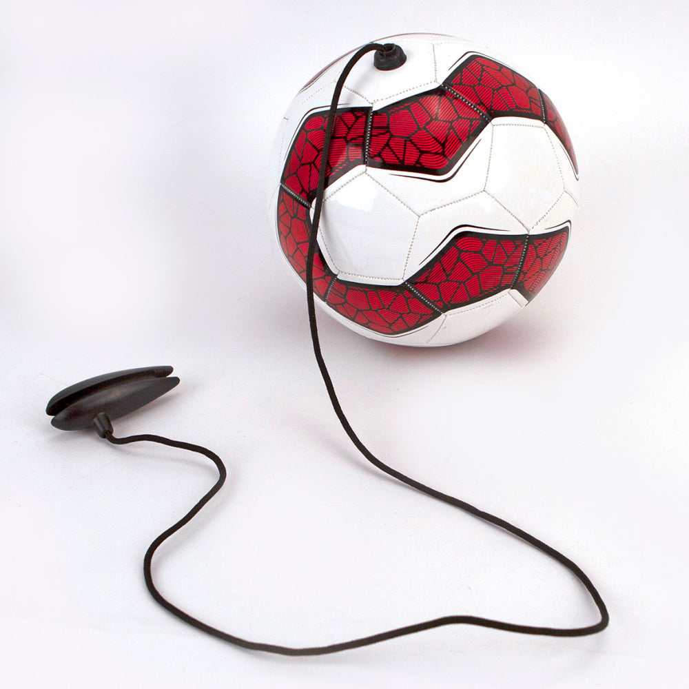 Alert training ball with adjustable cord assorted