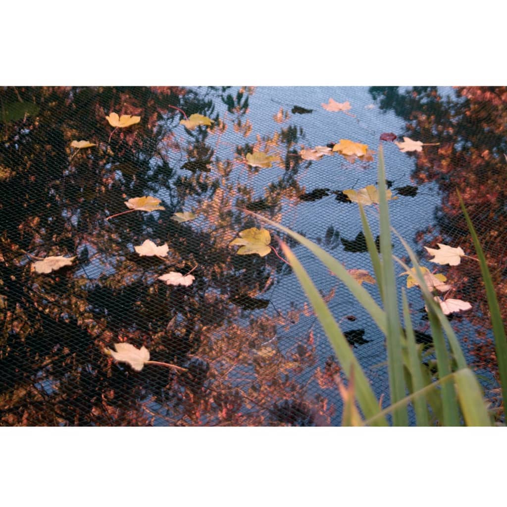 Ubbink Vijverafdeknet 3x4 m