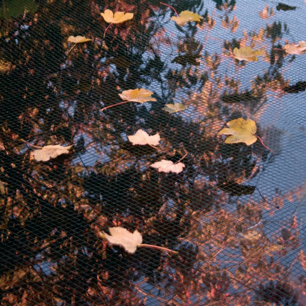 Ubbink Vijverafdeknet 4x6 m