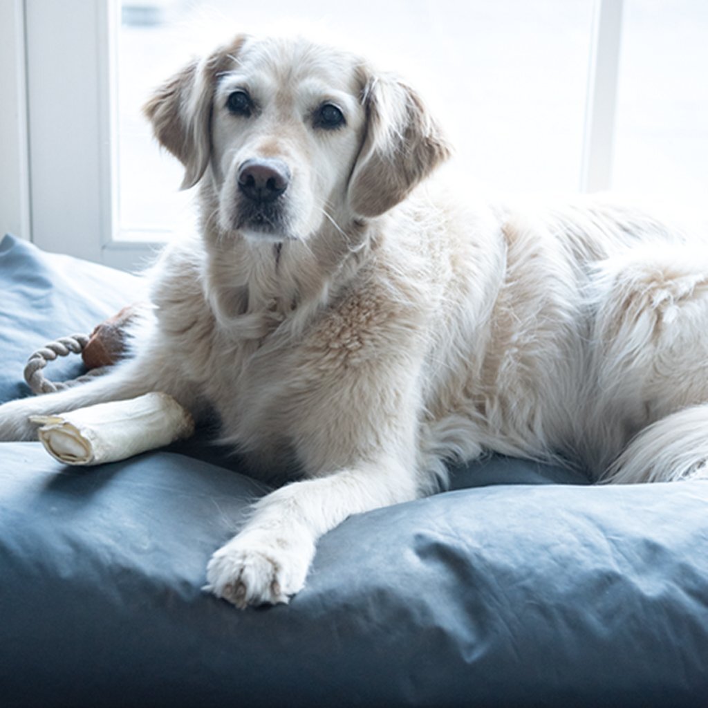 Entfernen Sie alle unangenehmen Gerüche 0,5 l