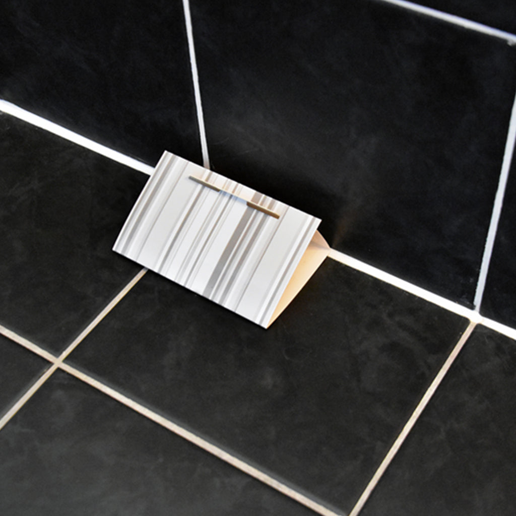 Hg Silberfischfalle 2 Stück