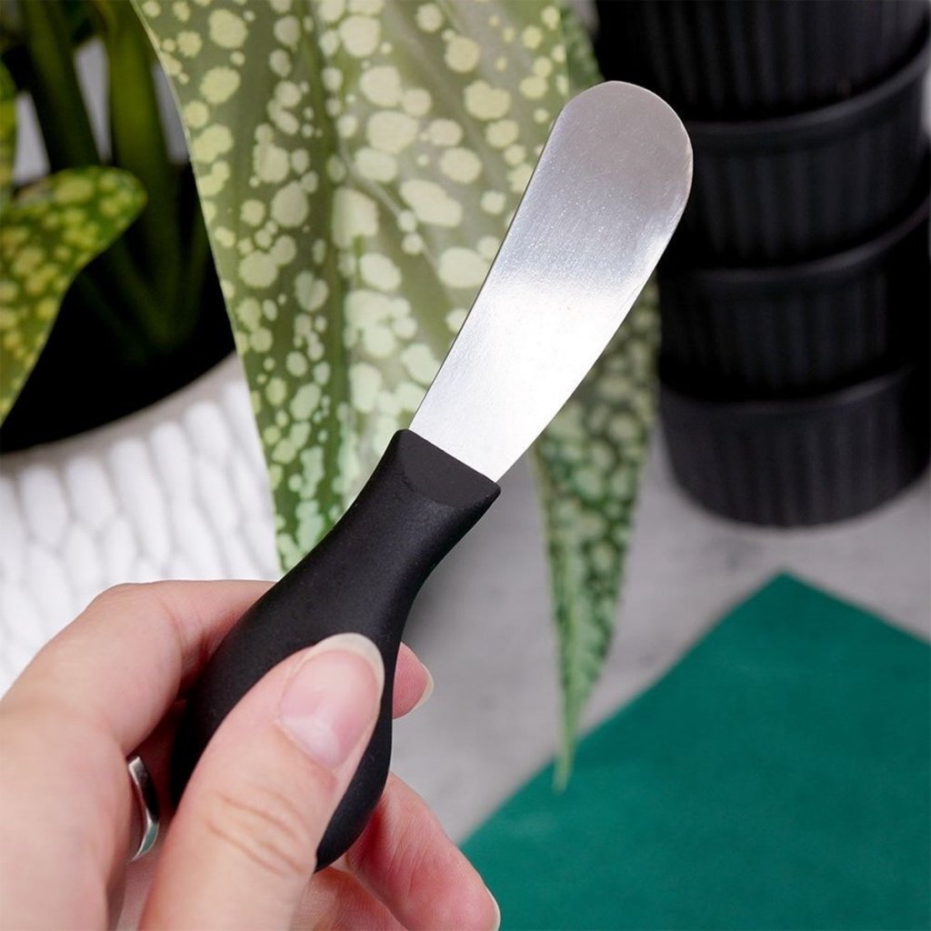 No brand butter knife 12.5cm | 6 pieces